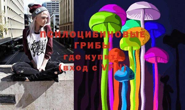 твердый Алексин