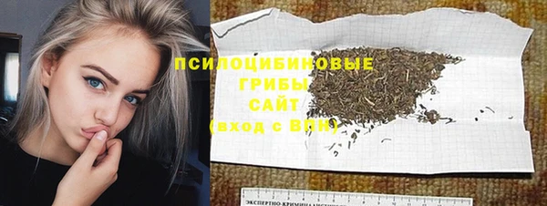 прущие грибы Алзамай