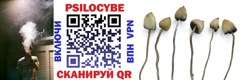 купить наркотик  Крым  darknet состав  Галлюциногенные грибы Psilocybe 